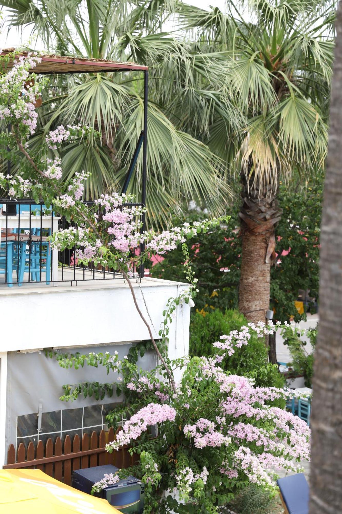 Yeni Doga Hotel Dalyan Exterior photo